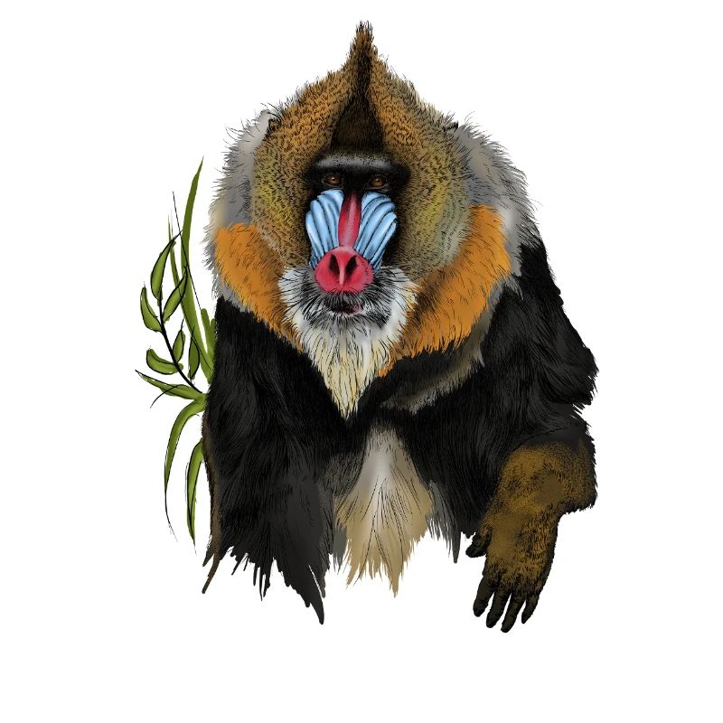 Mandrill