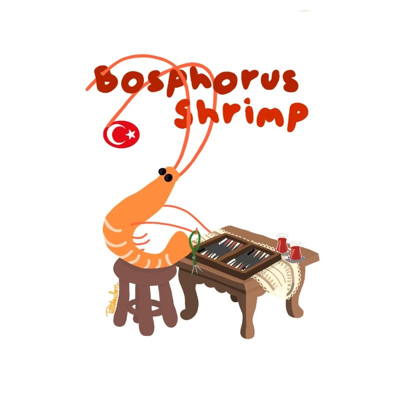 Bosphorus Shrimp, Istanbul