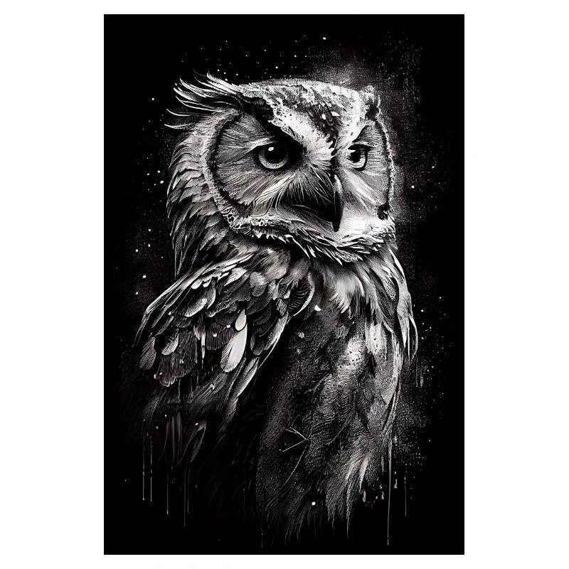 Eule Vogel Tier Eulen Drawn