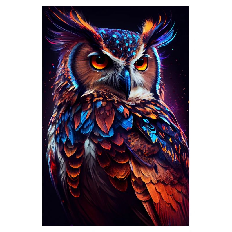 Eule Vogel Tier Eulen Colorful