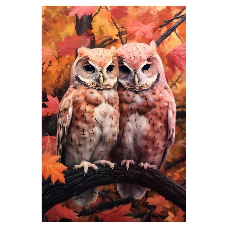 Eule Vogel Tier Eulen Cuddle