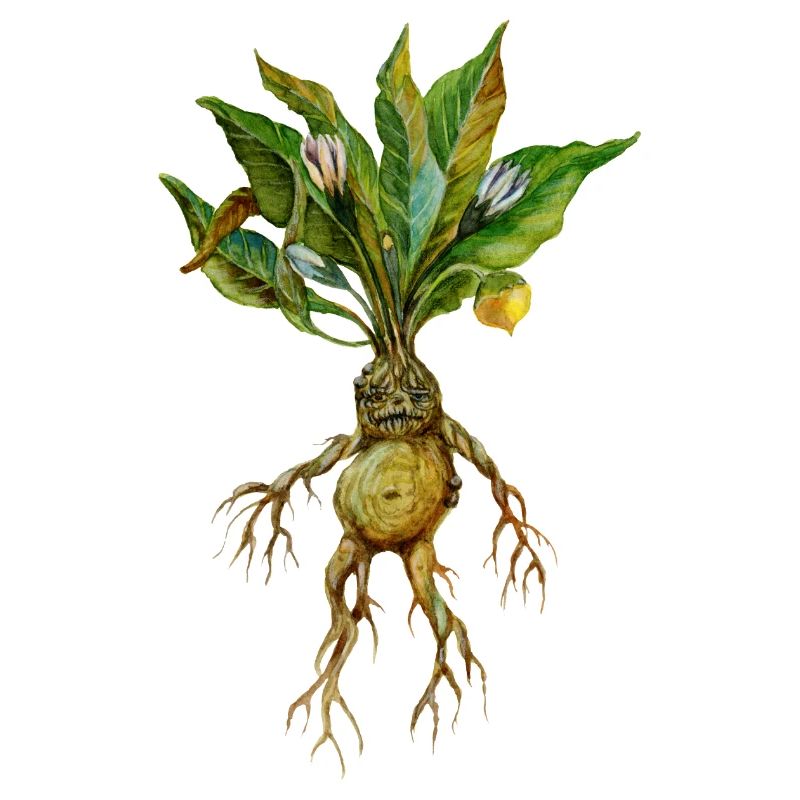 Grim Root Creature Fantasy Ontwerp