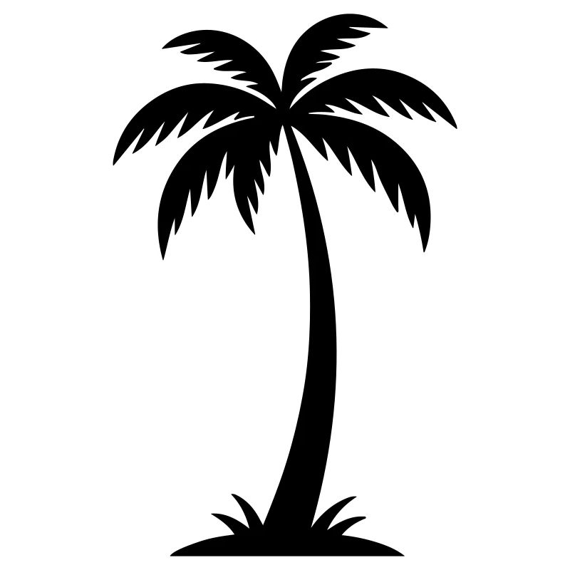 Silhouette de palmier