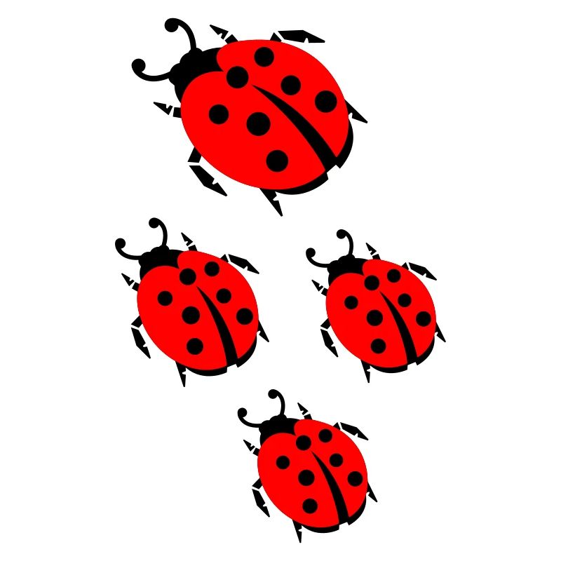 ladybug marienkaefer