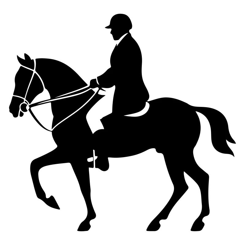 Reiten Pferd Mann Silhouette