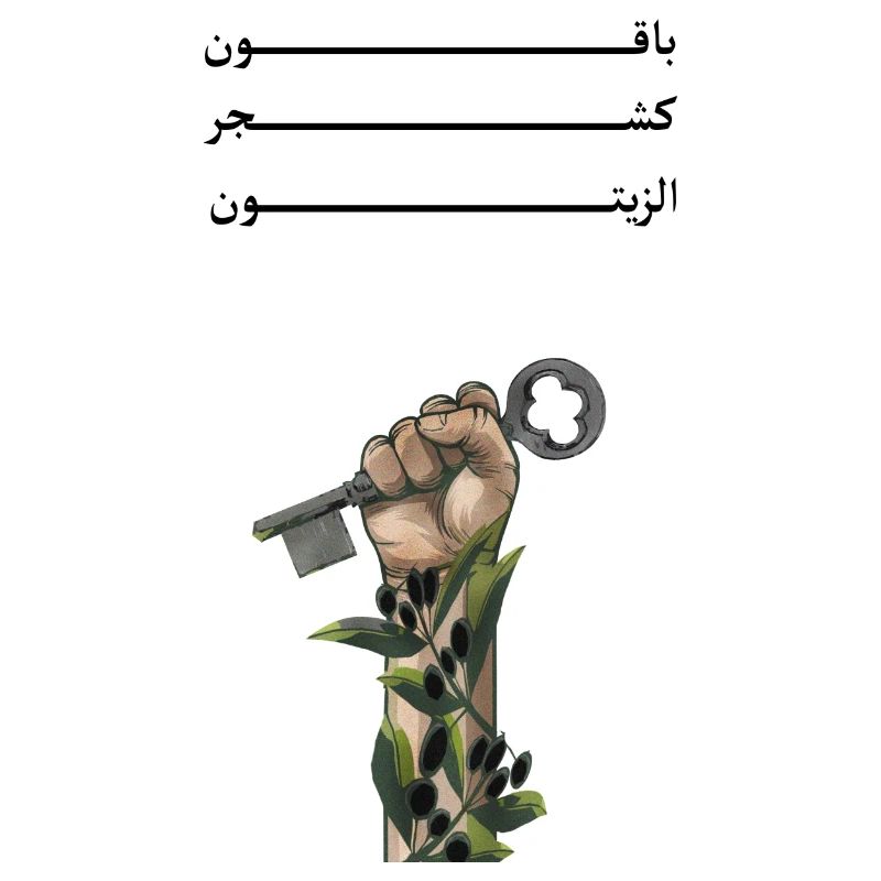 Solid like Oliven trees