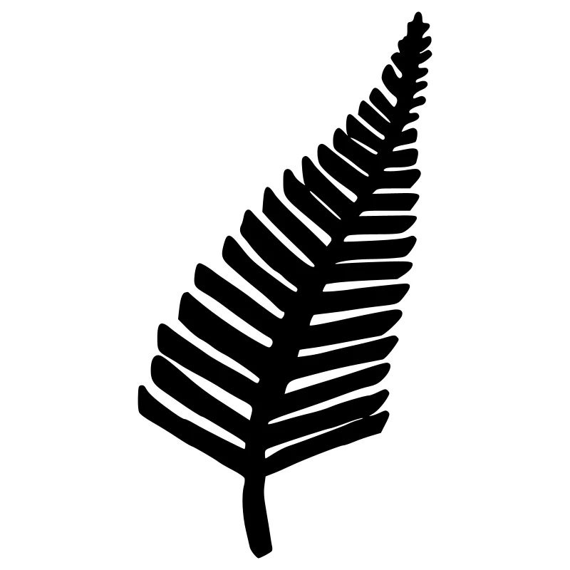 Fern