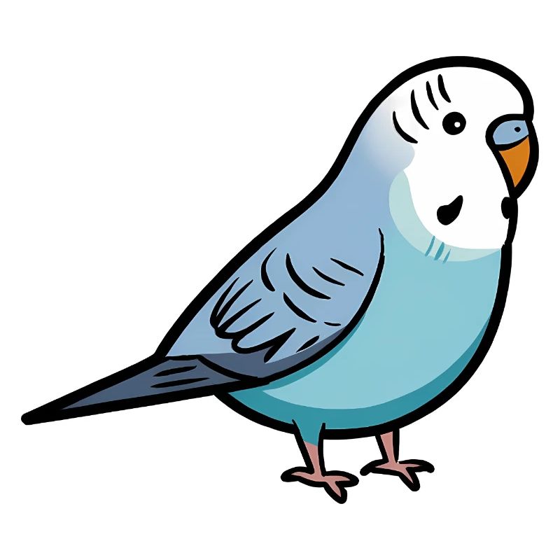 Blue Parakeet Bird Lover