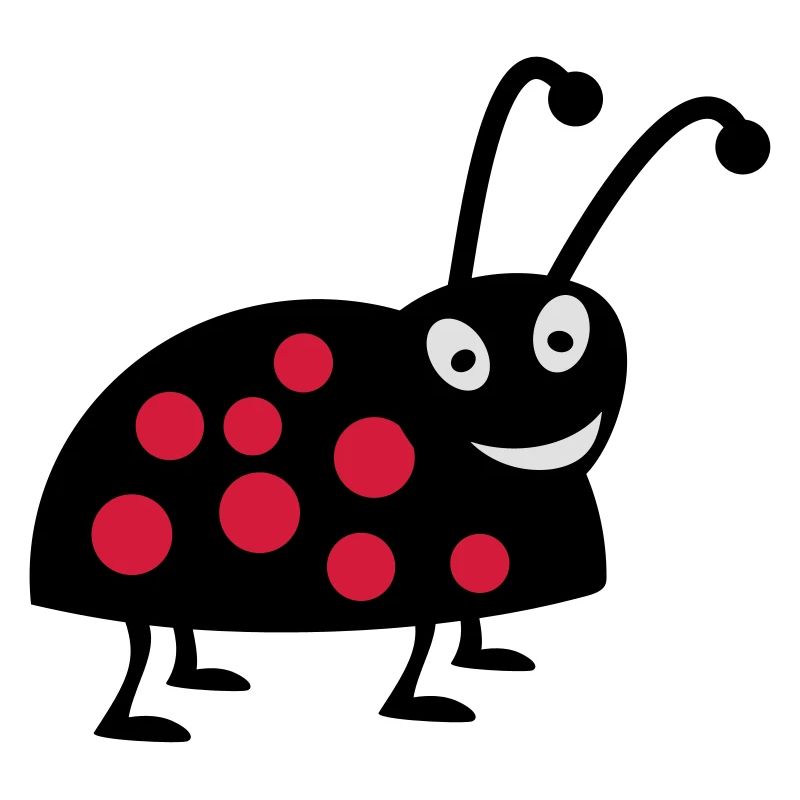 coccinelle