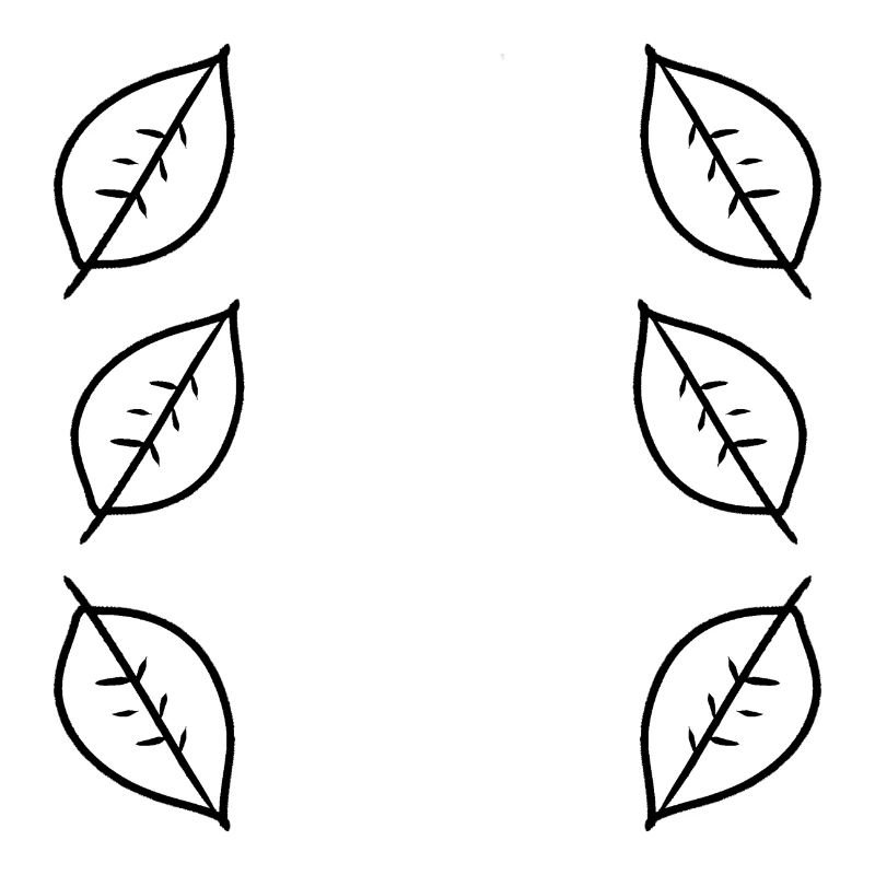 Pattern Leaf Leaves Frame Nature