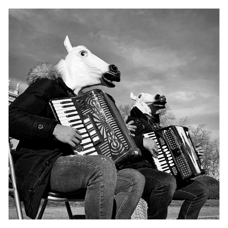 Bande de chevaux