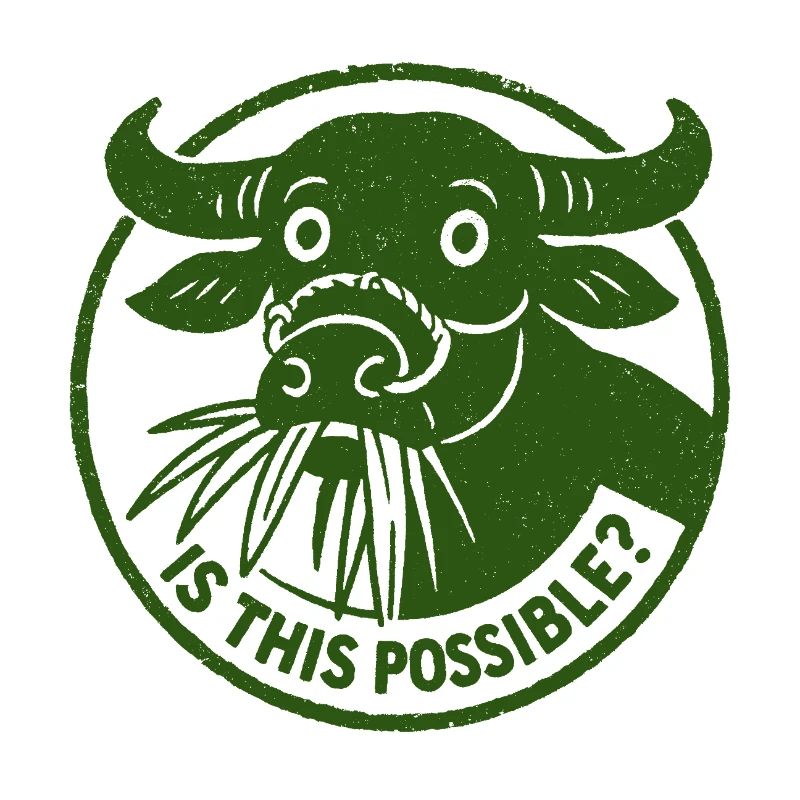 Est-ce que c’est possible curiosité drôle Buffalo Cow Stamp