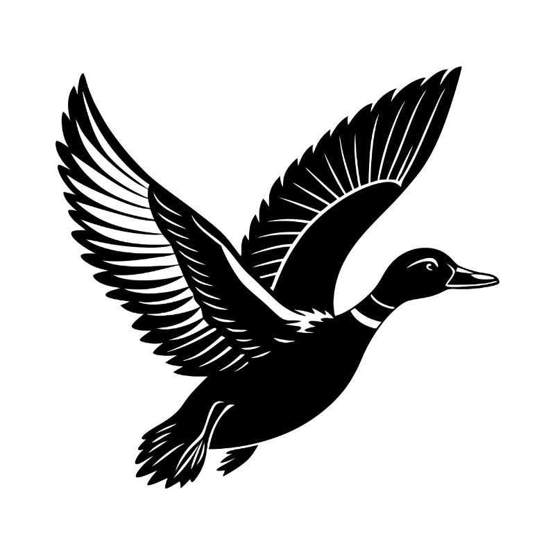 Canard colvert volant