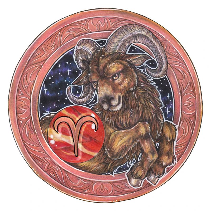 Zodiac Sign Sternzeichen Widder Aries Geschenk