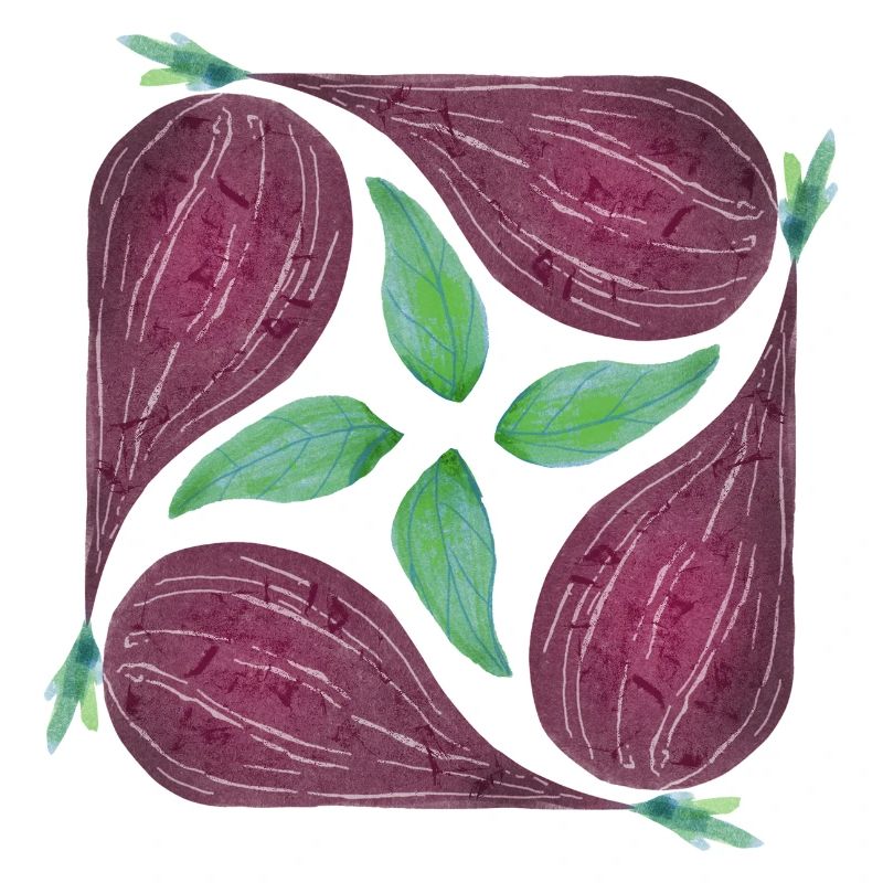 Red Onion Pattern