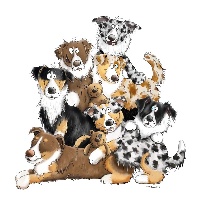 Australian Shepherd Hundehaufen I Aussie Hunde