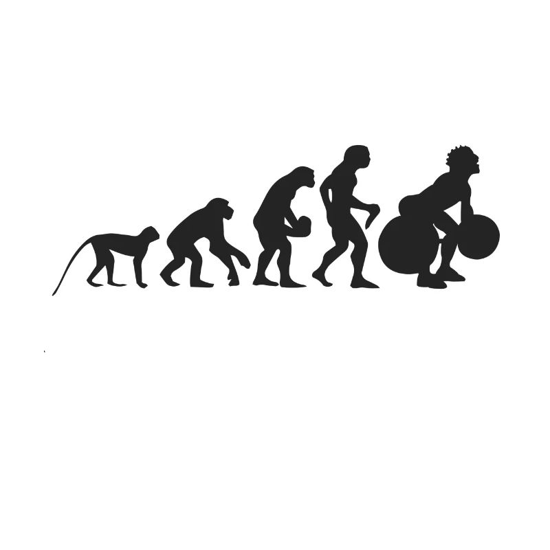 Évolution du poids et haltères