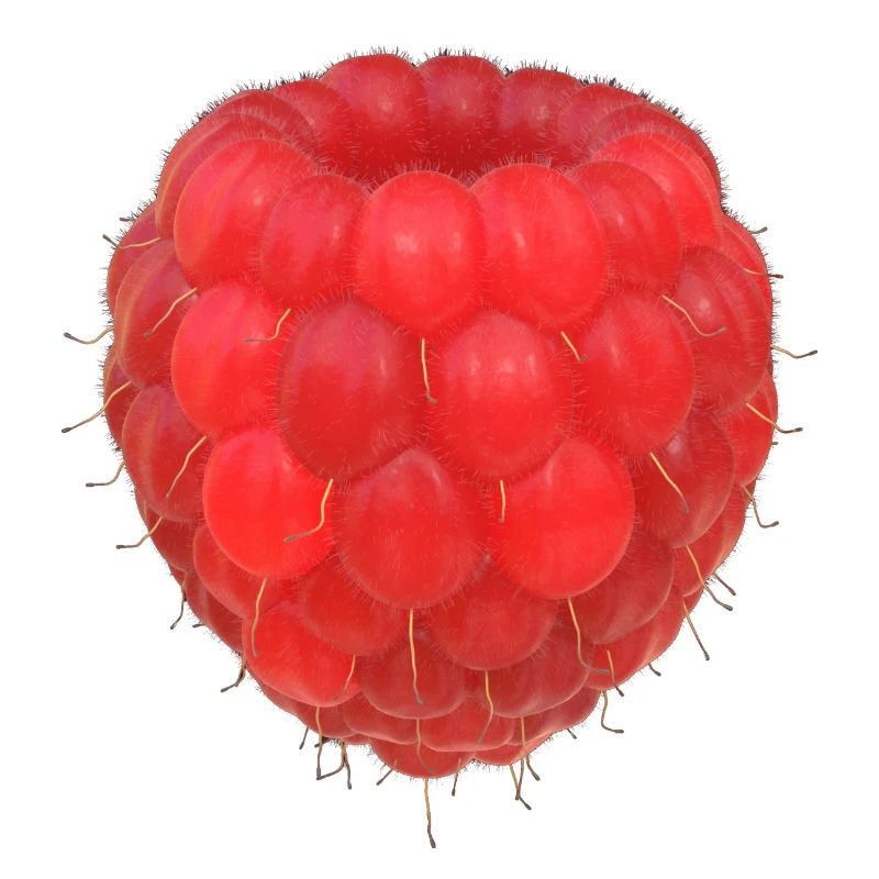 Modèle de grappe de framboises