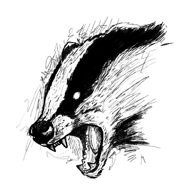 Badger