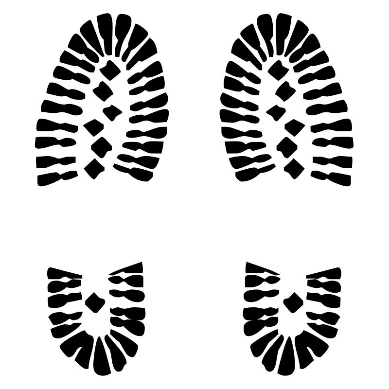 Footprints (V)