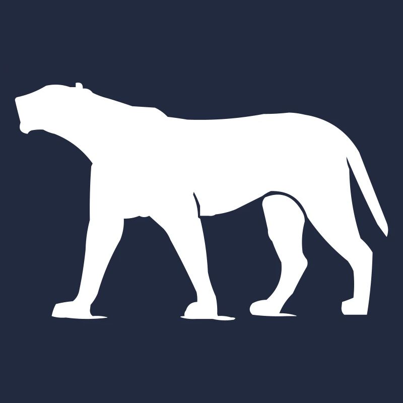 Panther Animal