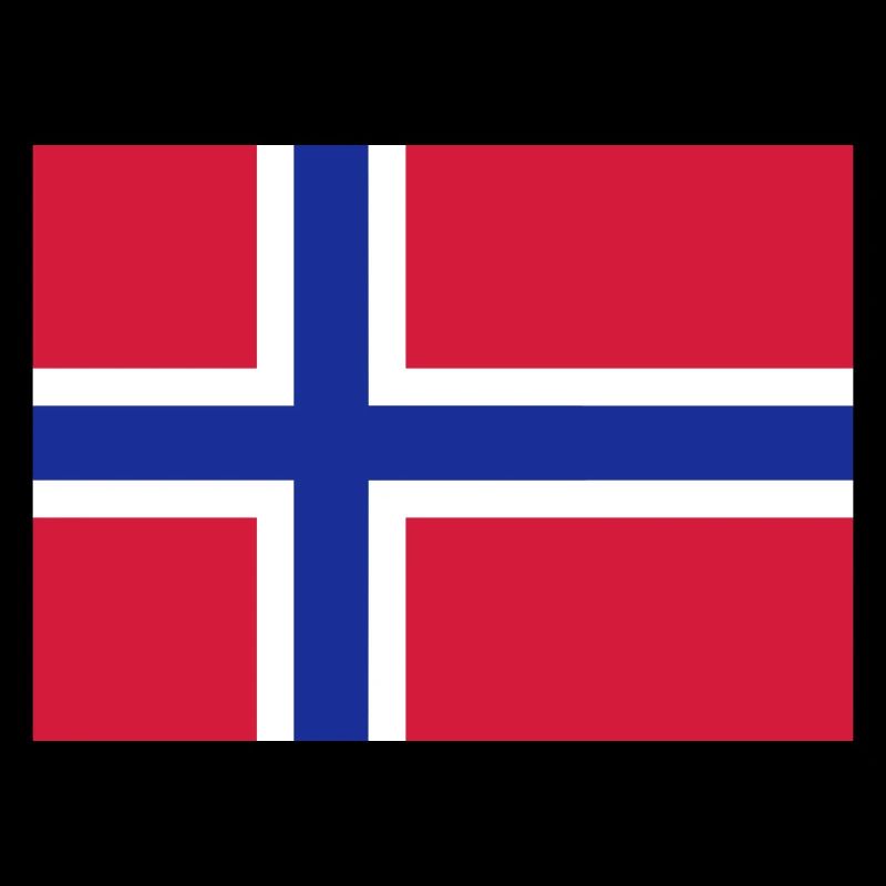 Drapeau Norvège / Norway flag