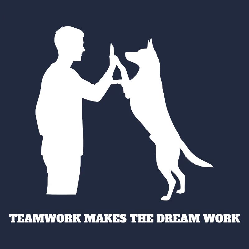 Teamwork makes the Dream Work