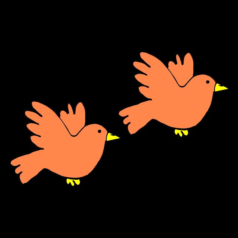 Couleurs d’oiseaux 2