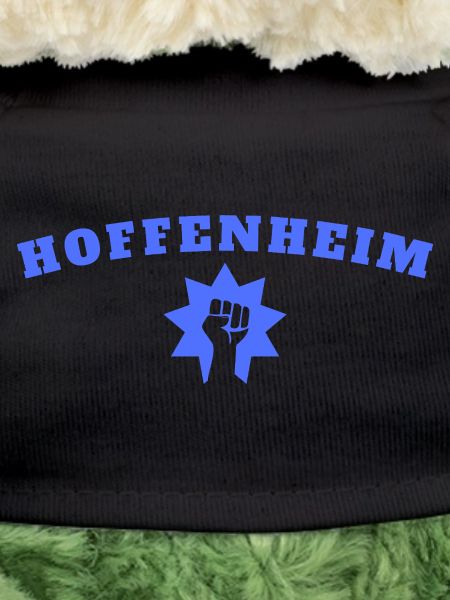 Hoffenheim