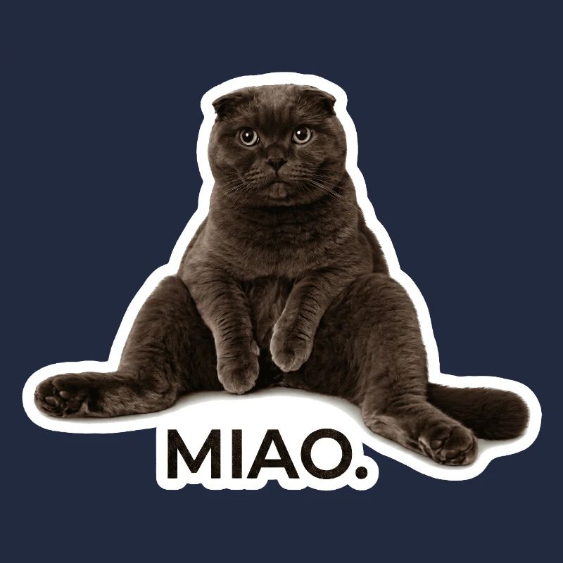 Der ultimative Scottish Fold Chill-Vibe – „Miao.“