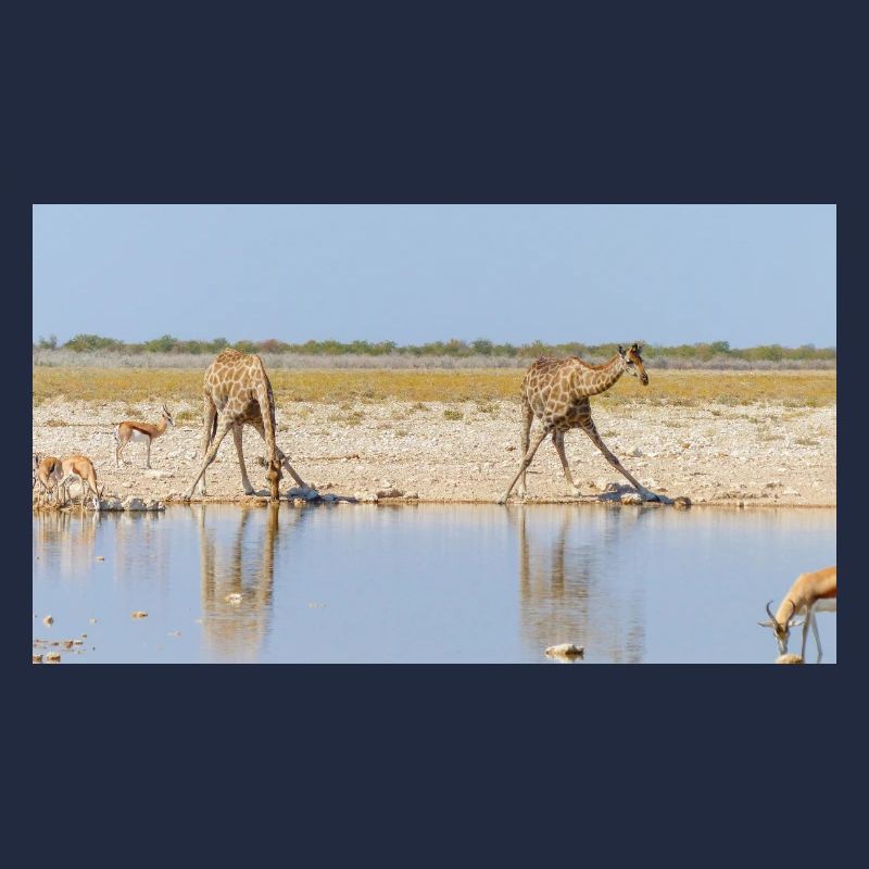 Landschaft am Fluss Cubango mit Giraffe