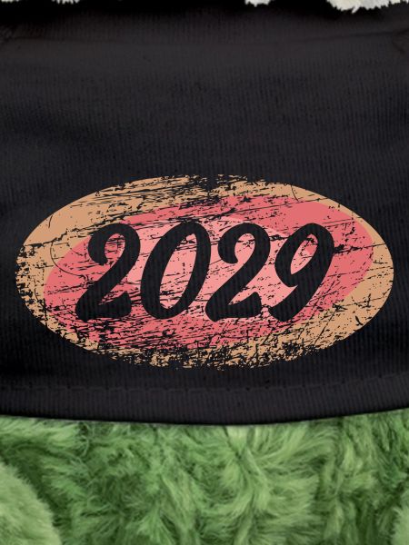 2029