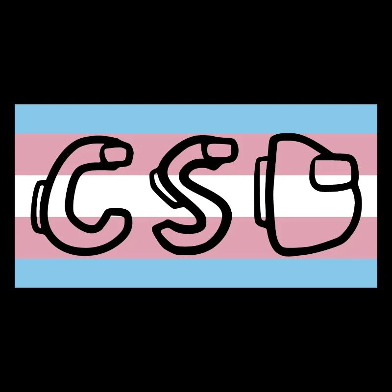 trans pride flag csd