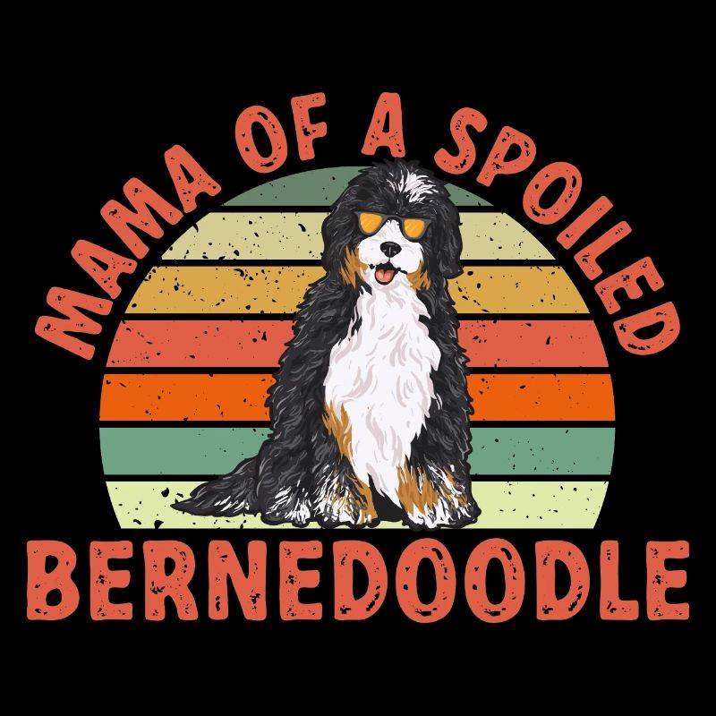 Chien Bernedoodle