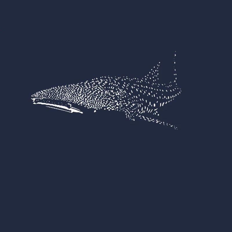 Requin-baleine