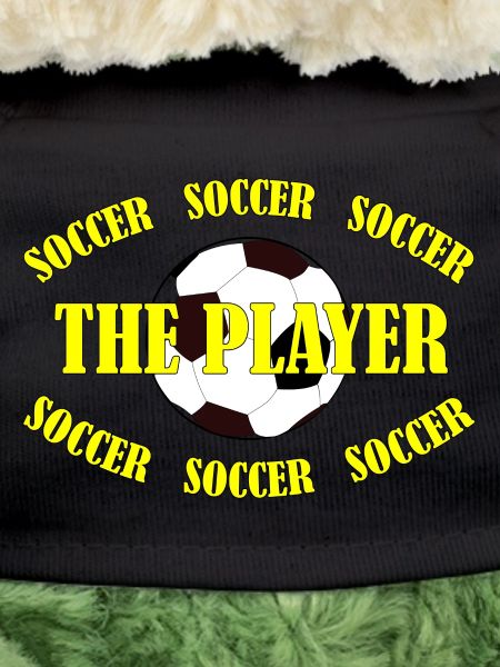 SOCCER - THE PLAYER
