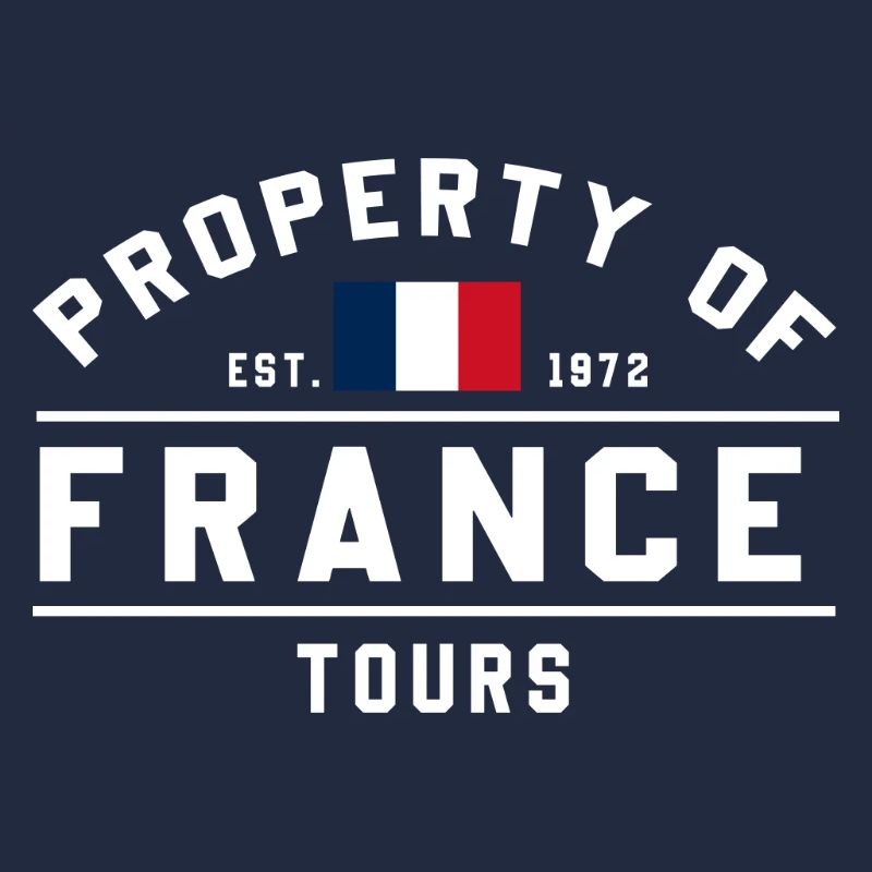 Circuits immobiliers français