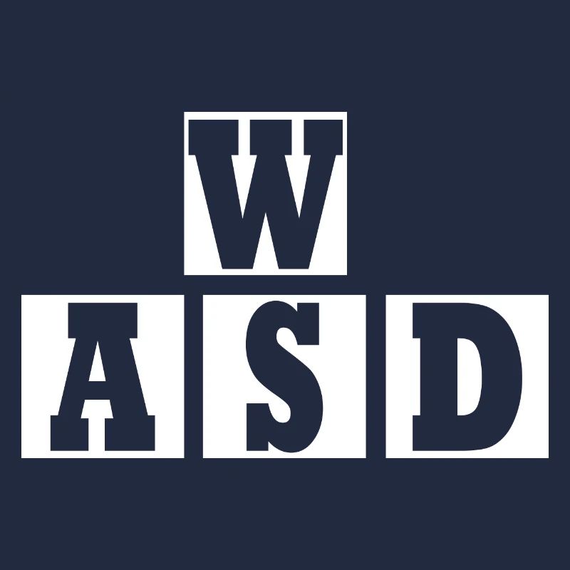 W A S D
