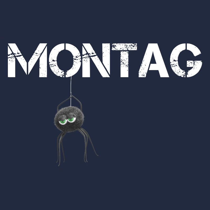 Montags Spinne