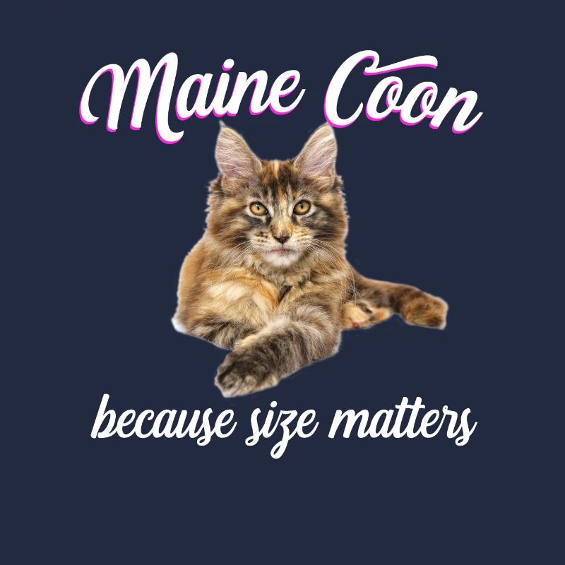 Maine Coon Cat Because Size Matters