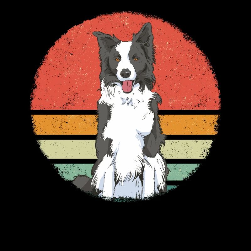 Border Collie Propriétaire de chien