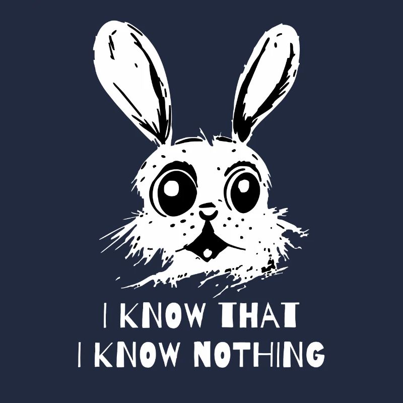 I Know That I Know Nothing - A Wise Rabbit