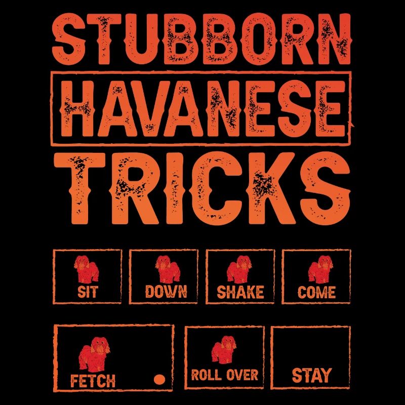 Stubborn Havanese Tricks