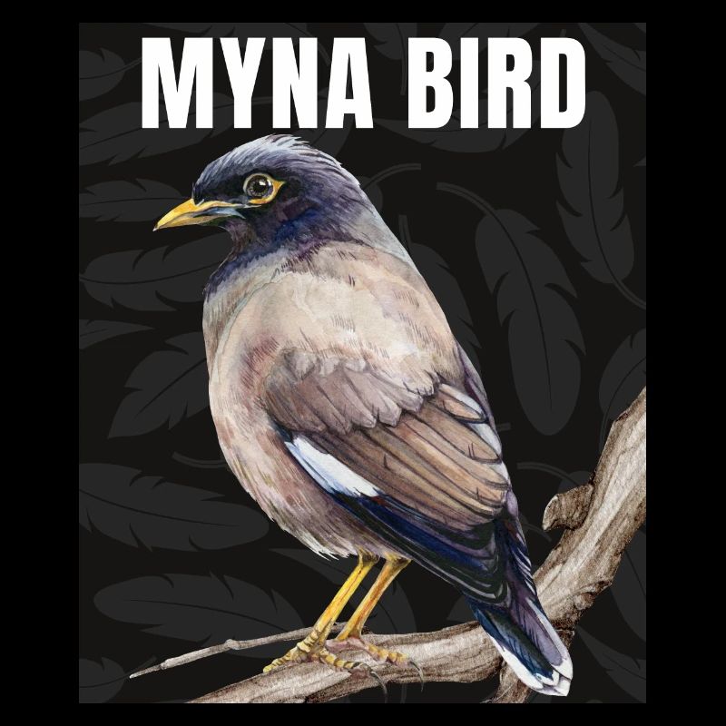 Myna Bird Collection – Eleganz trifft ätherisch