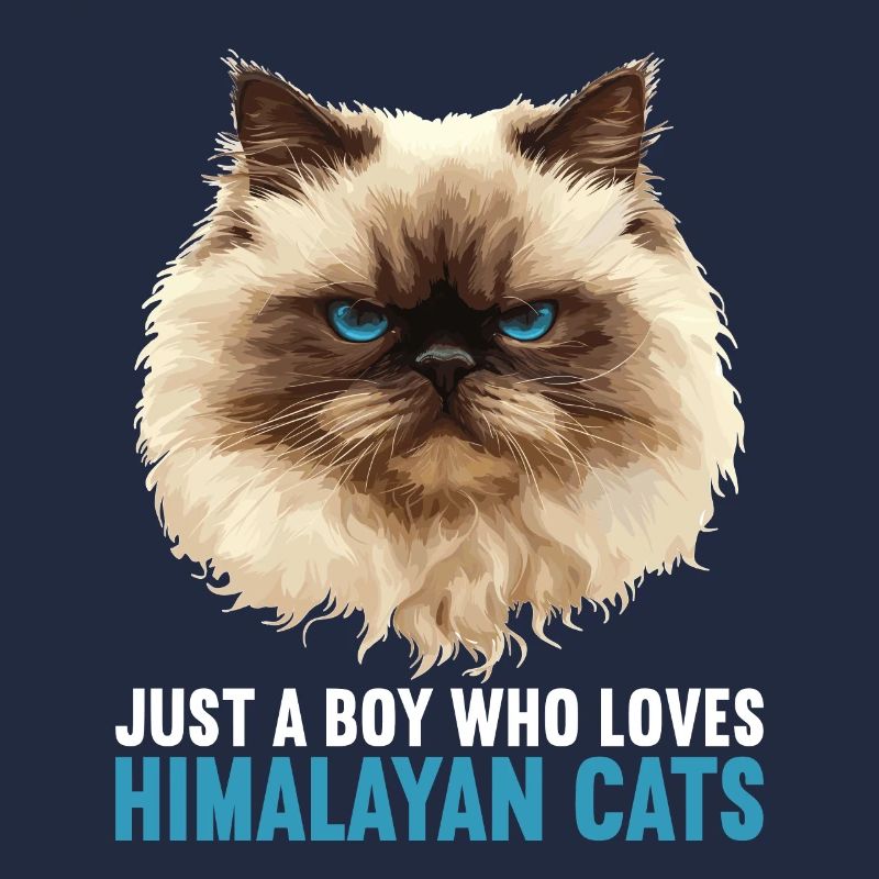 Himalayan Cat Colourpoint Katze