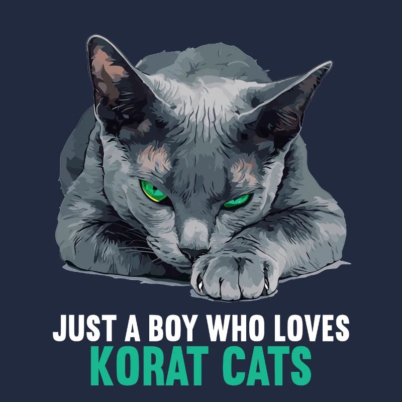 Korat Chaton Korat Chat