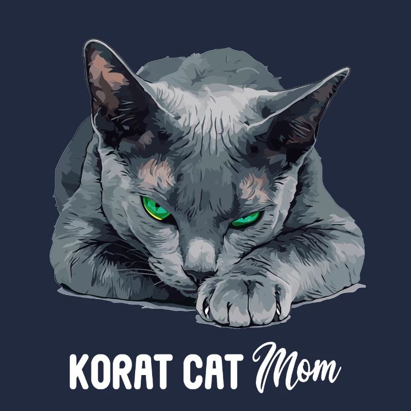 Korat Chaton Korat Chat