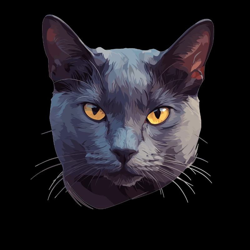 Chat bleu russe Russisch Blau Katze