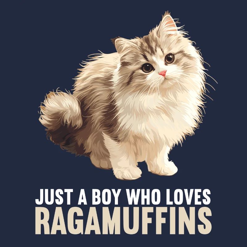 Ragamuffin Chaton Ragamuffin Chat