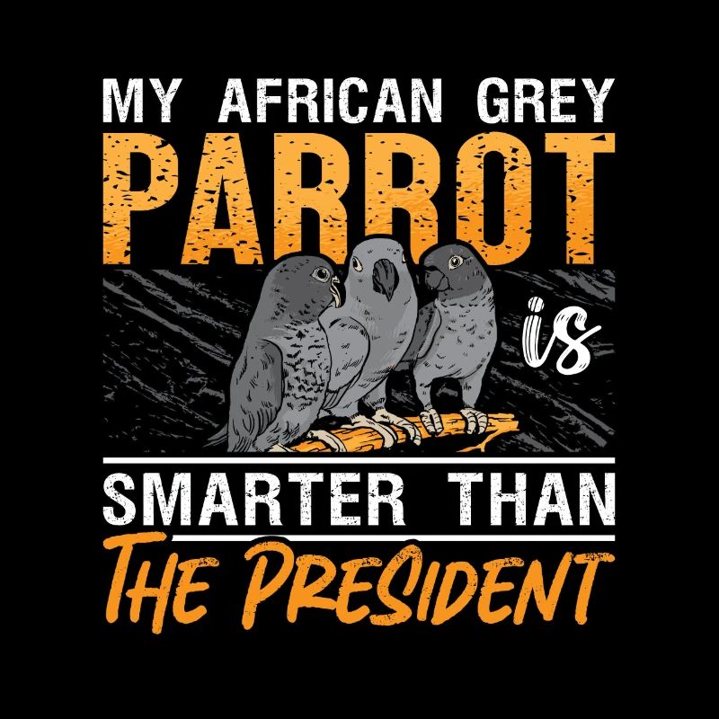 My African Grey Parrot Is Birdwatcher African Grey